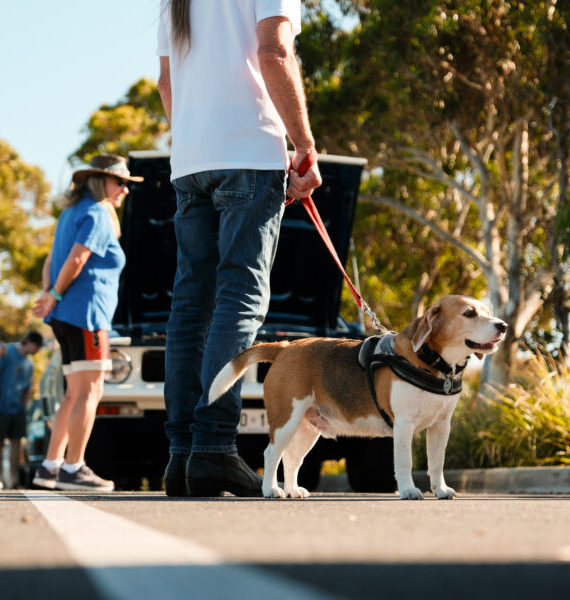 Cars & Coffee Adelaide - January 2024